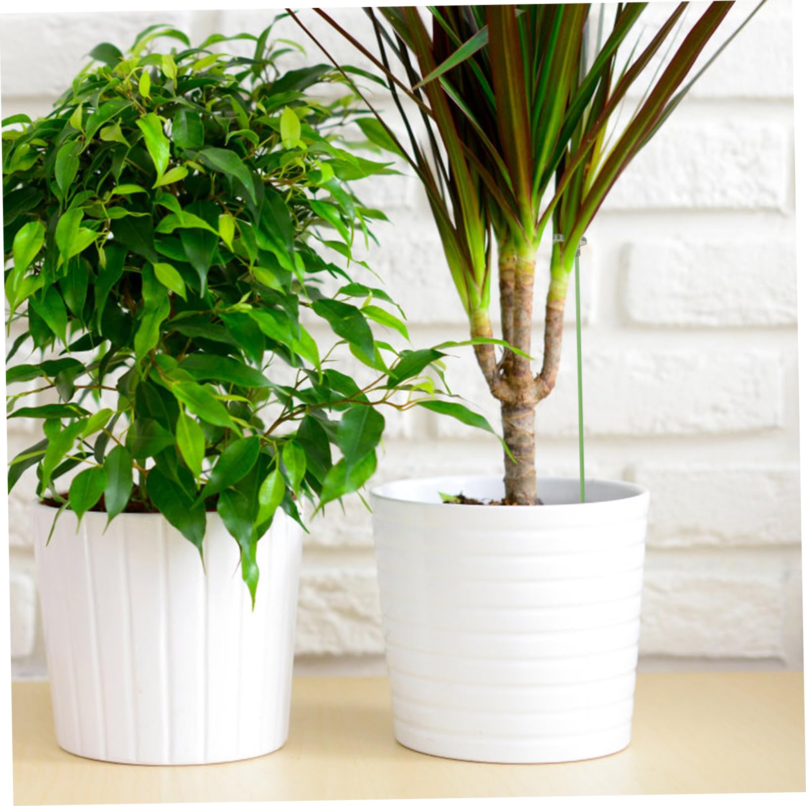 Abaodam 3 Sätze Pflanzenstützrahmen Blumen- eingetopft Stützgestell für Kletterpflanzen Einsätze Pflanzenpfähle Hochleistungs-Gartenpfähle kleine Gartenpfähle Plastik Green