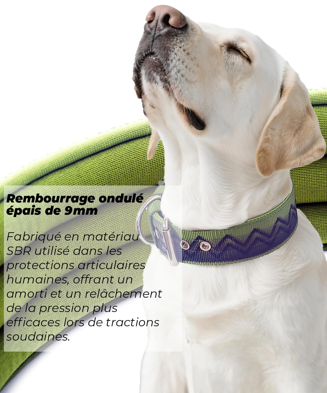 Collier pour Grands Chiens NeckShield Kontroll - Collier pour Chien De 5 cm De Large avec Rembourrage Extra Épais Et Poignée,Protection Professionnelle,50-58cm,Vert