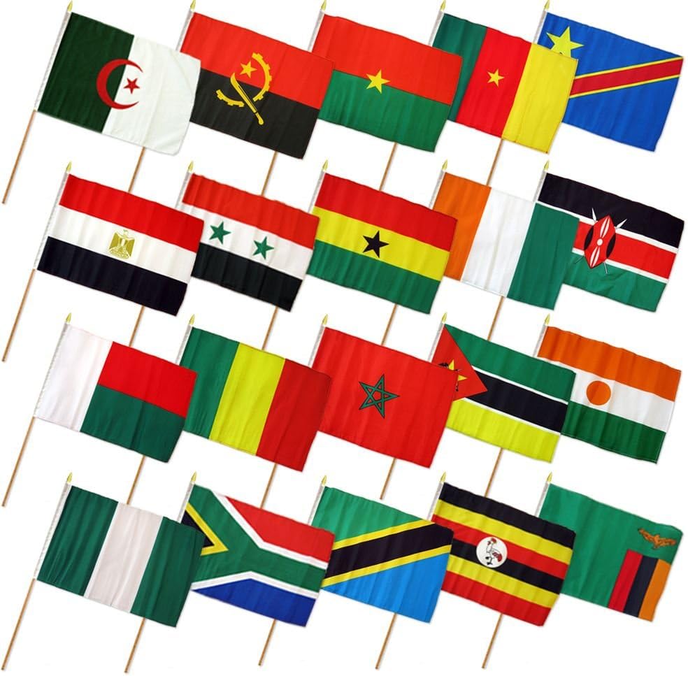 12x18 inch (12x18in) Set of 20 African State flag mounted on a 24 inch wooden stick staff (Super Polyester) cloth Fabric (Sewn Edges for Durability)12"x18" 12x18