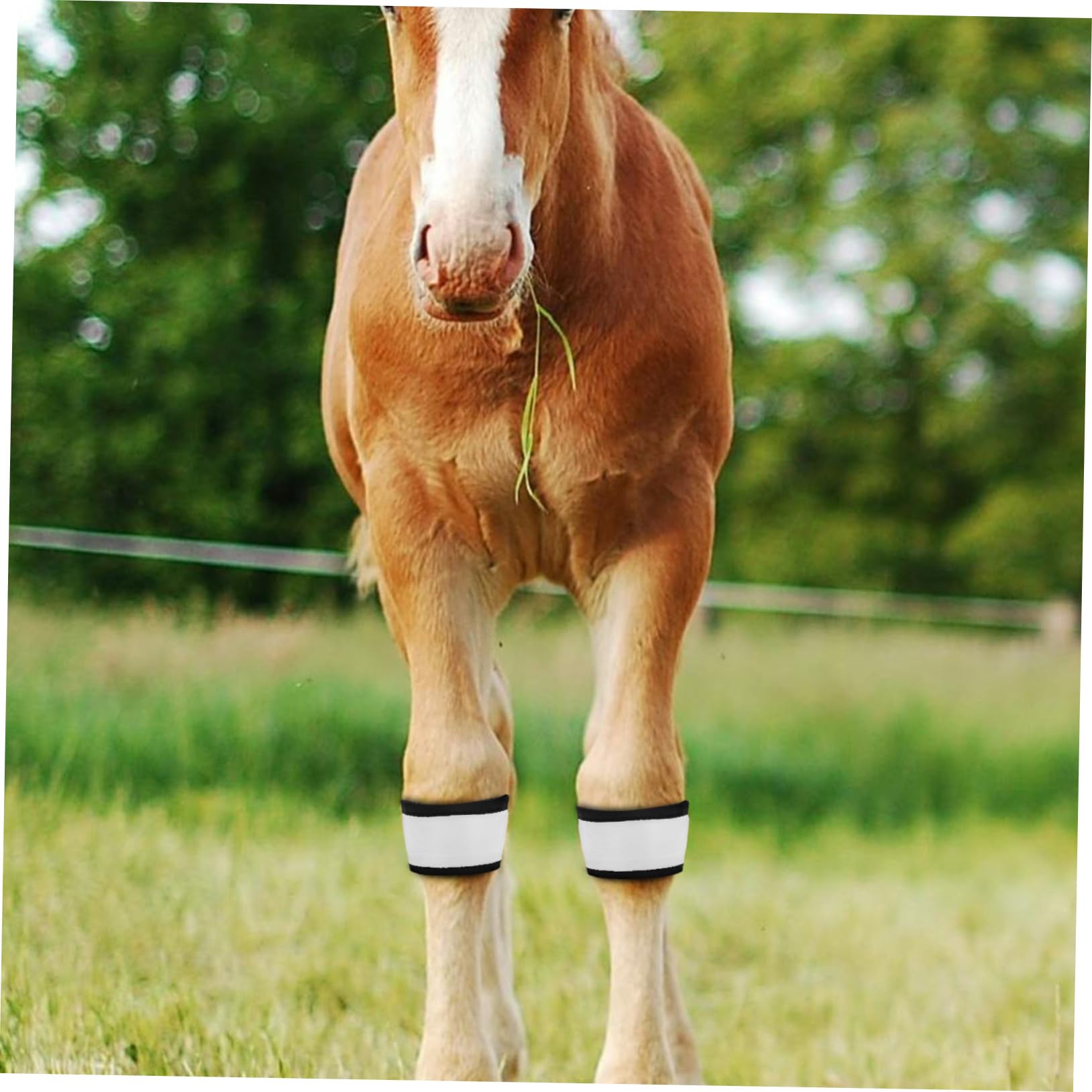 Happyyami 4 Stück Weißer Lederpferdestiefel mit Pferdedecke Reflektierend Vorderzeug für Pferde und Leuchtendes Reiten Zubehör für Sicheres Nachtreiten