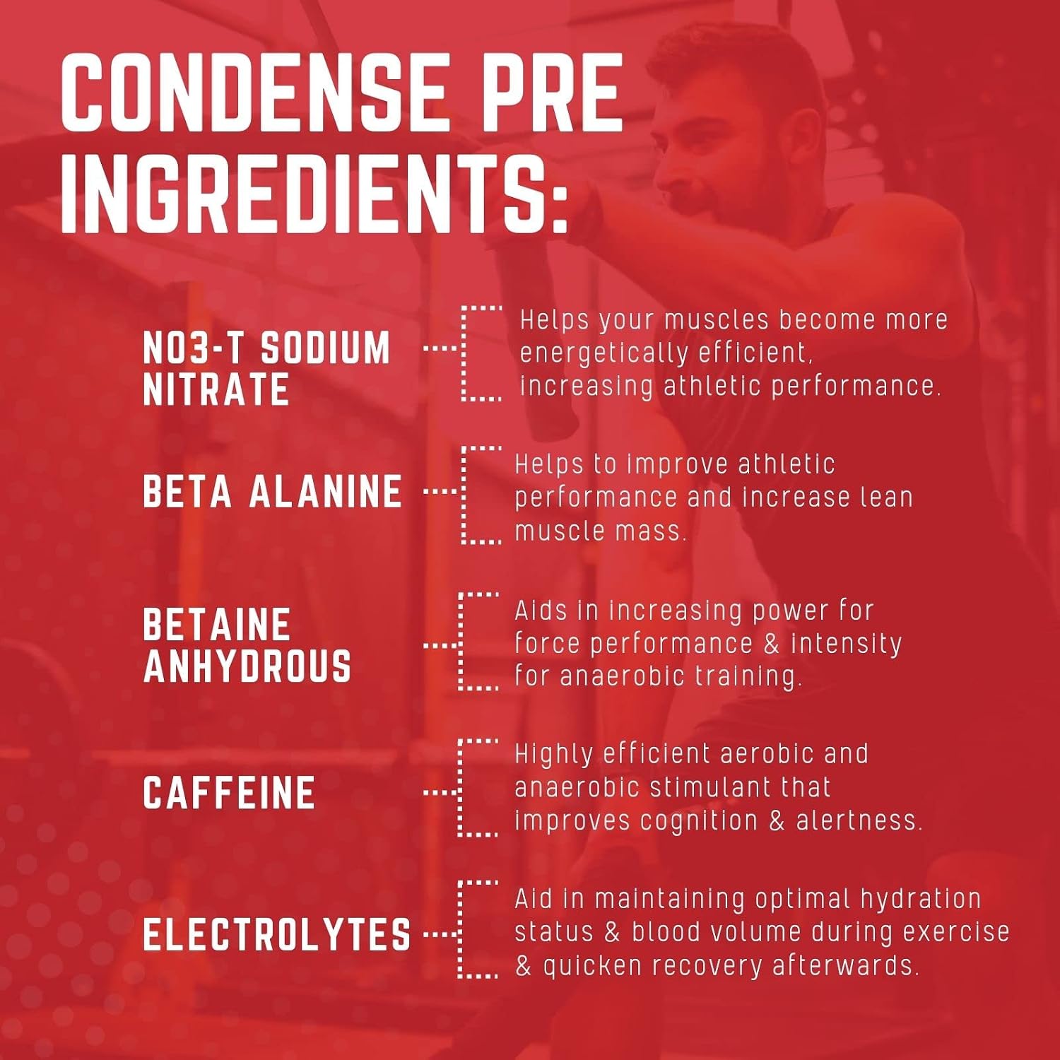 Purus Labs Condense Endurance & Pump Enhancing Pre Workout Powder | Nitric Oxide Booster | Clean Energy | Beta Alanine | 40 Servings (Melonberry Cooler)