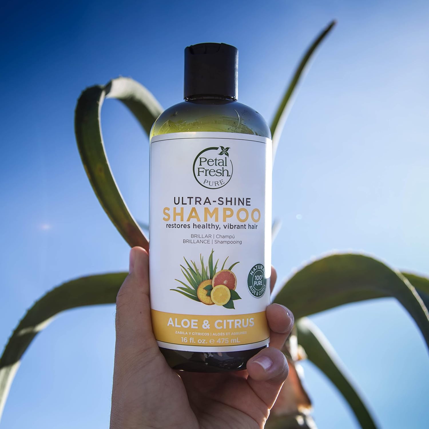 Petal Fresh Pure Ultra Shine Aloe & Citrus Shampoo 355ml
