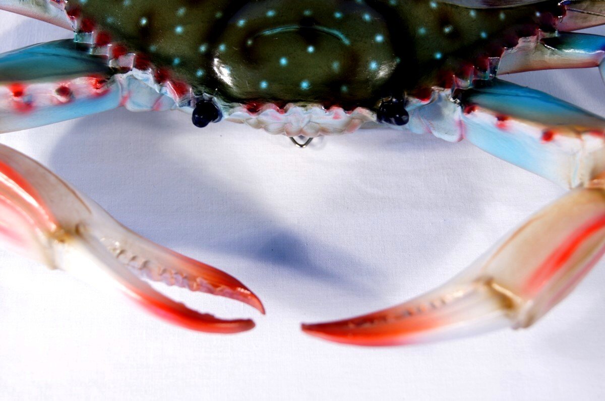 Charlotte International Large Replica Chesapeake Bay Blue Crab Wall Decor