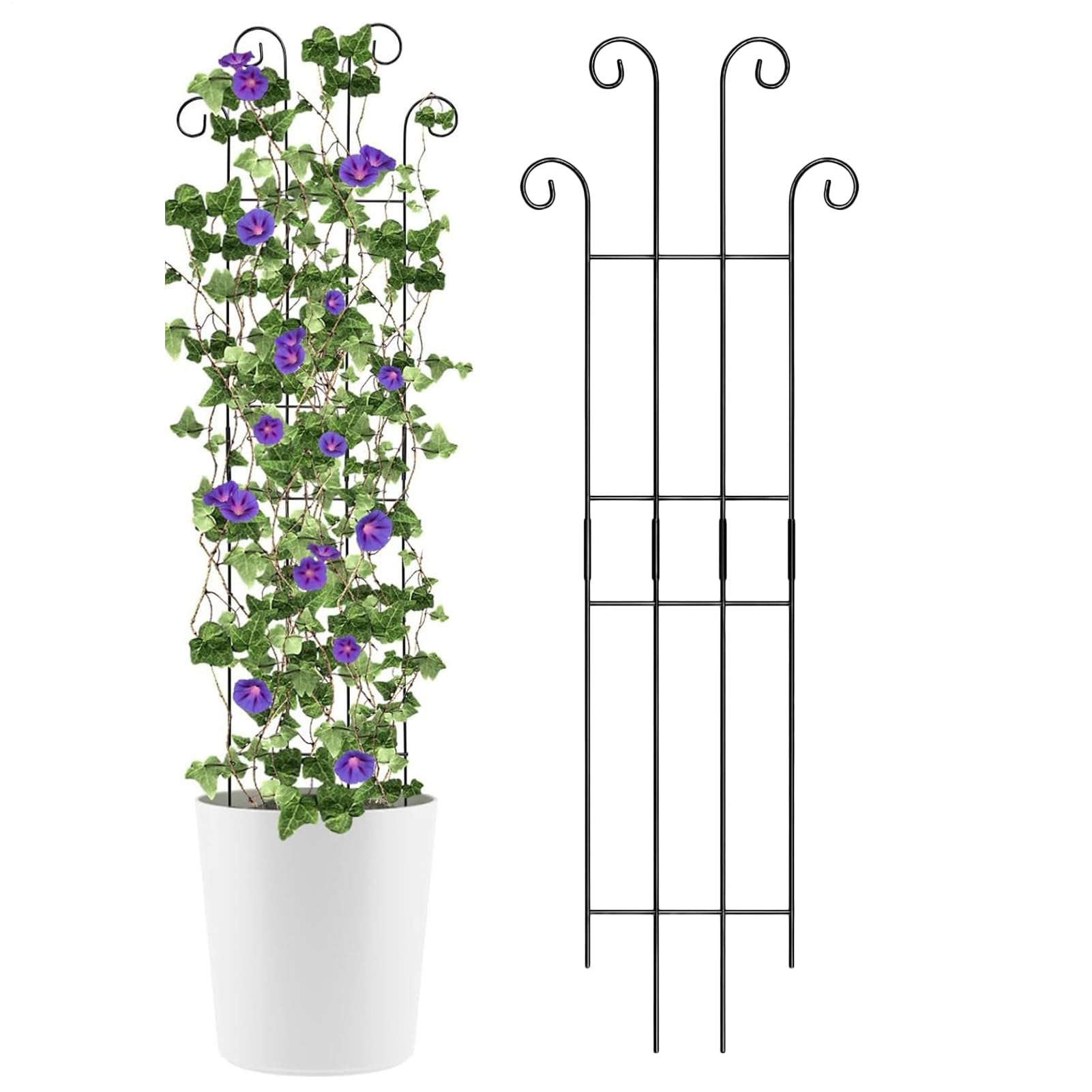 Plant Trellis Metal Plant Support | Monstera Climbing Poles | Indoor and Outdoor