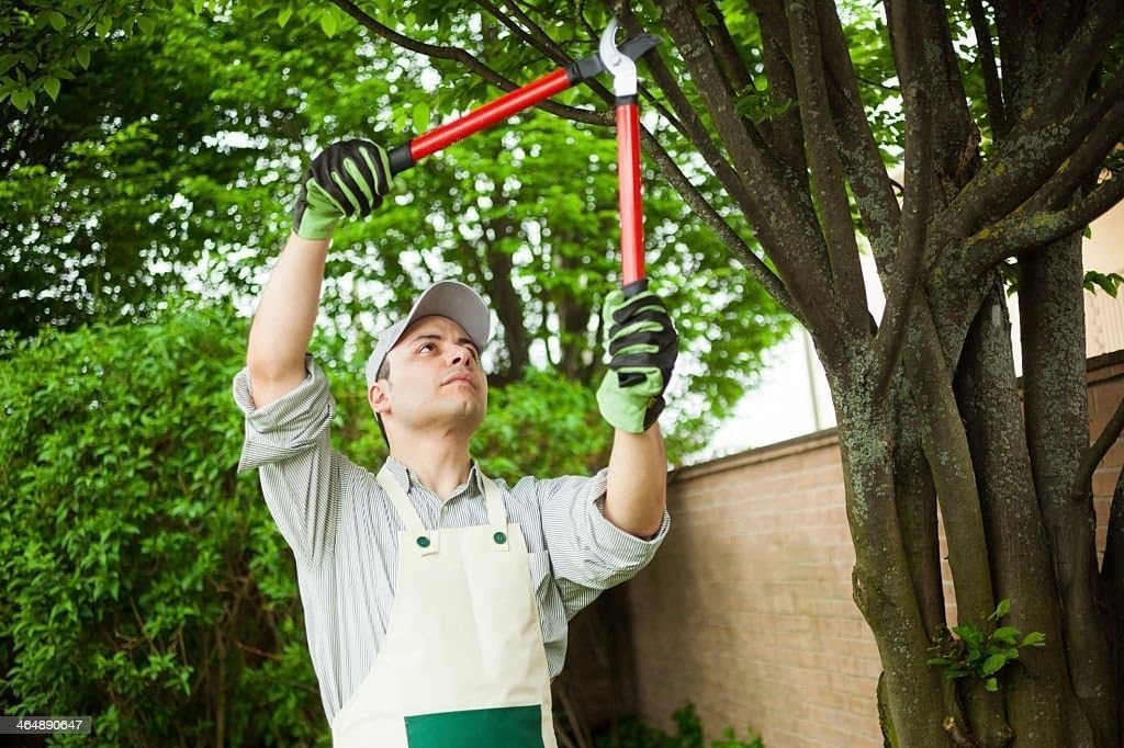 STHITI Professional Ratchet Anvil Lopper with Compound Action, Sturdy Telescopic Handles with Extra Leverage Garden Pruning Tree Hedge Branch Cutter Garden Lopper - Pruning Tool (SMALL) - Image 3 thumbnail