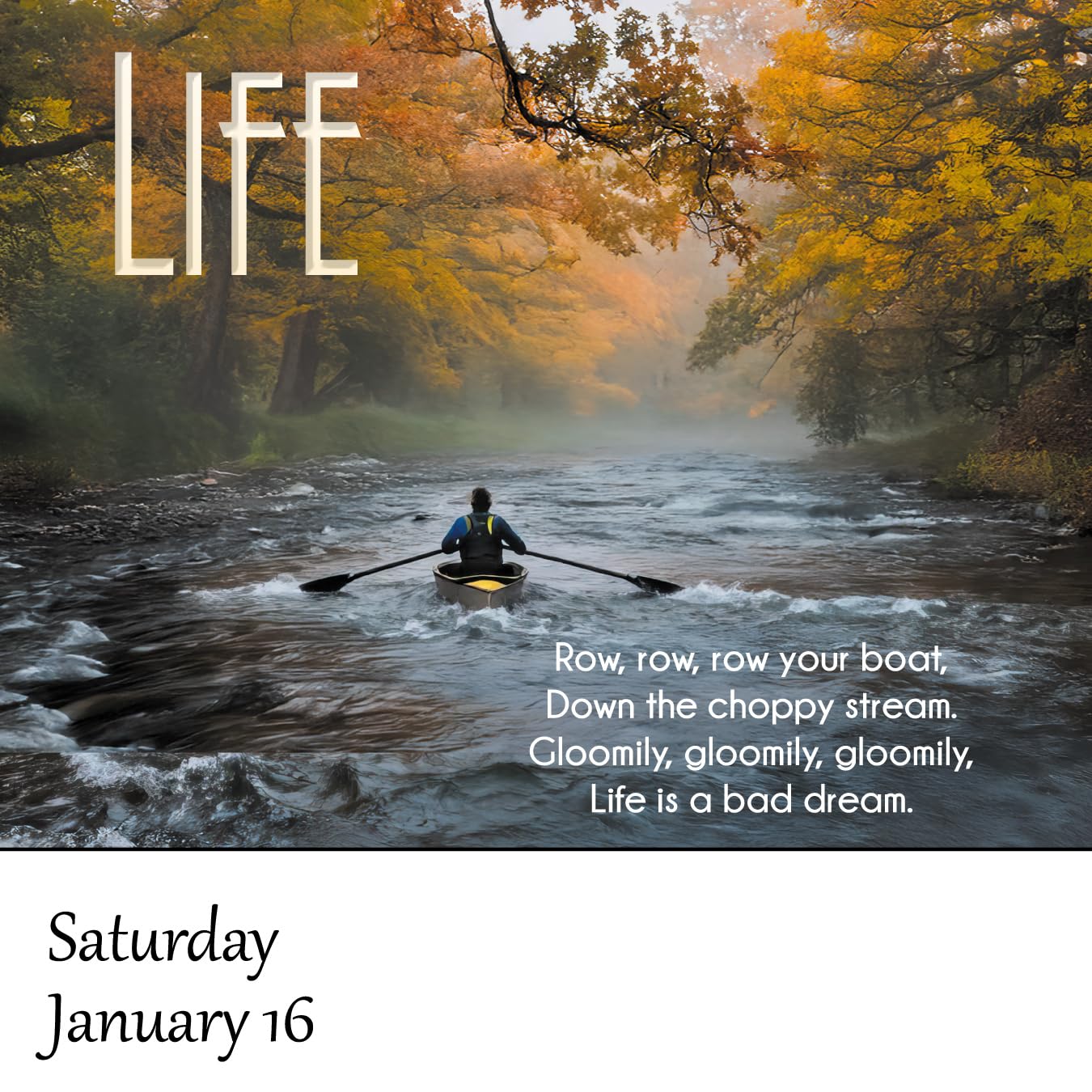 Demotivational 2027 Daily Calendar (A Funny, Uninspirational, and Humorous Page-A-Day / Day-to-Day Desk Calendar - all 365 days!)