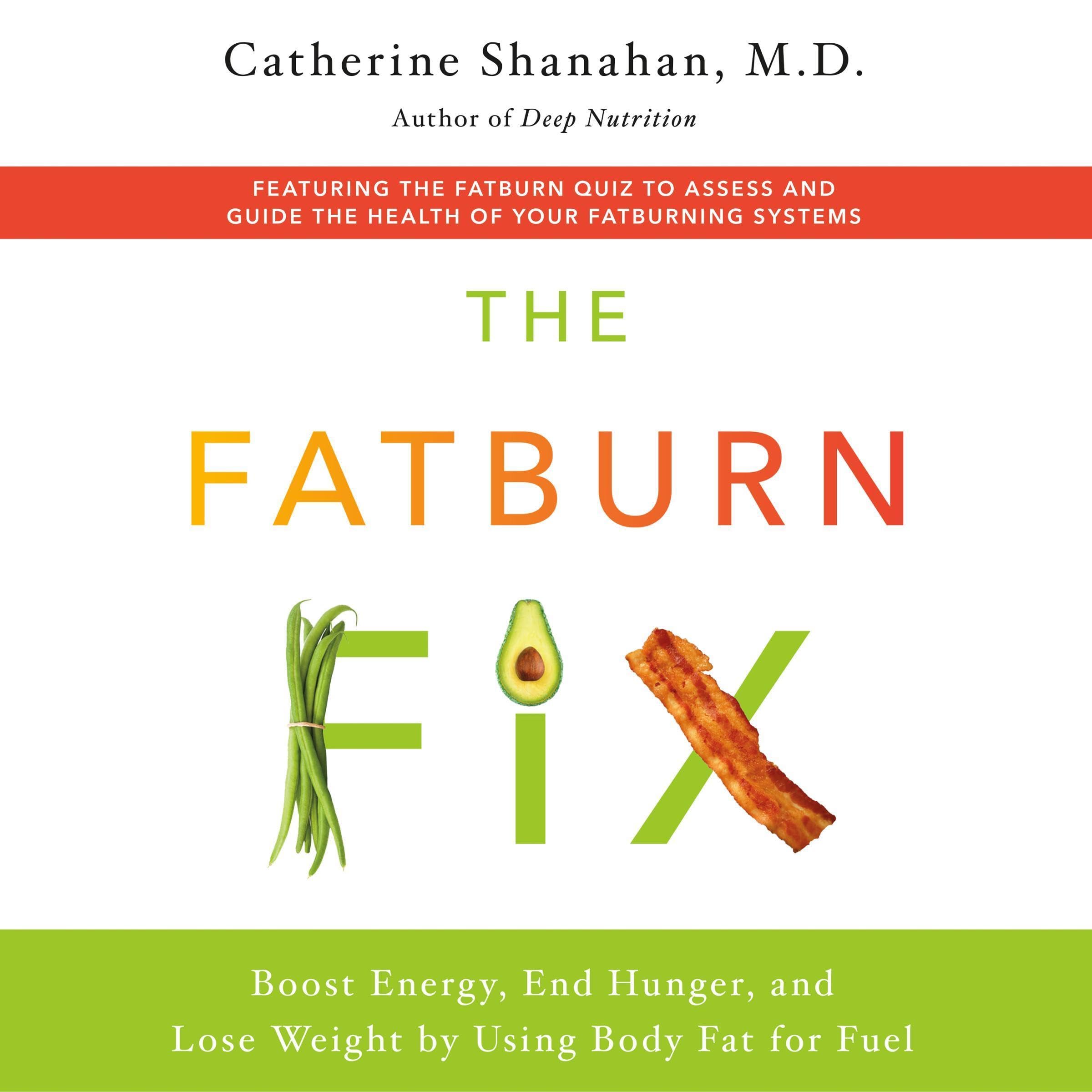 Cover art for The Fatburn Fix