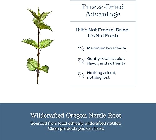 Miniatura 5 de Eclectic Institute Raíz de ortiga sin OMG liofilizada y fresca cruda | Próstata, tracto urinario y soporte masculino | 90 CT (250 mg)