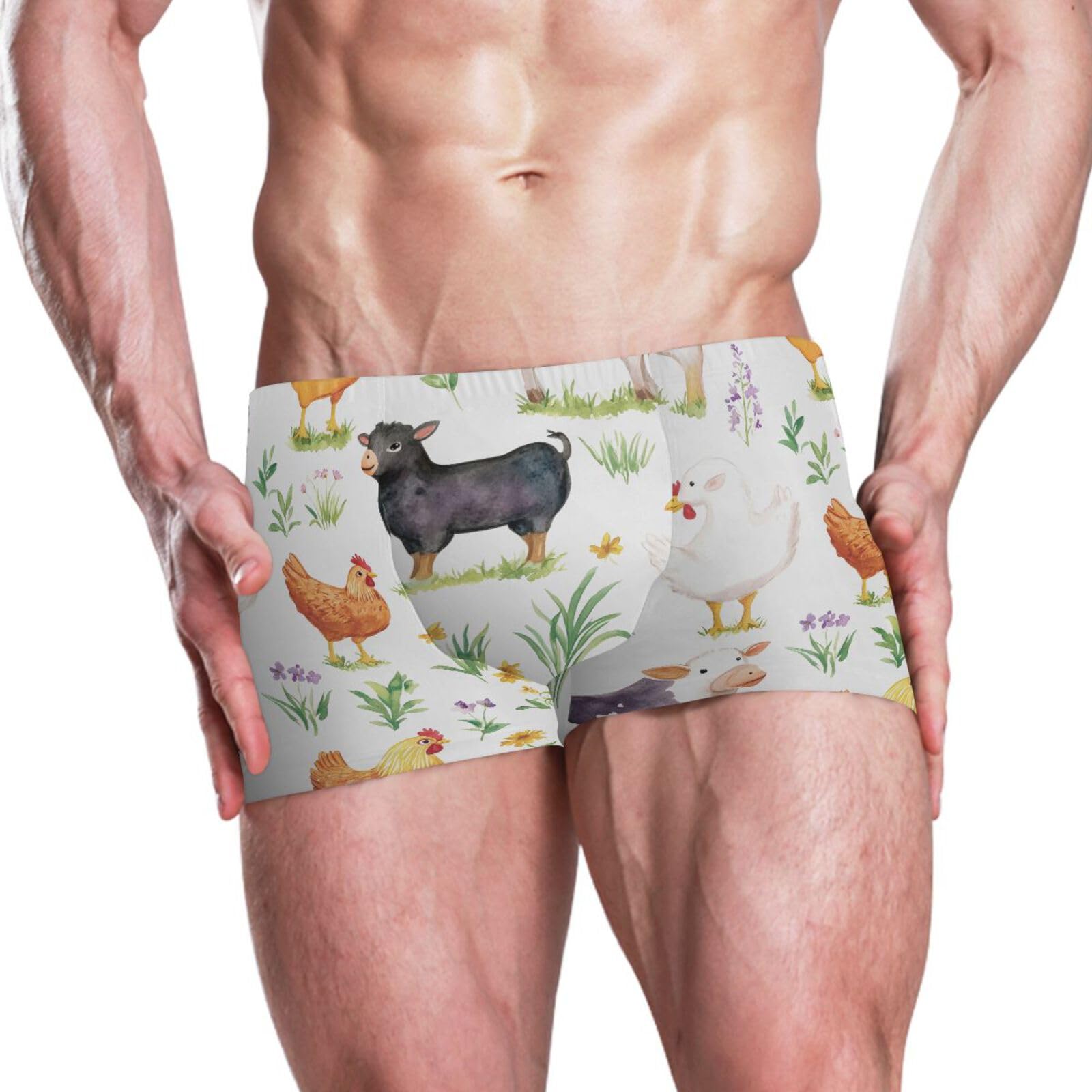 UMIRIKO Farm Rooster Animals Men Swim Brief Square Leg Swimsuit Swimwear Bathing Suits for Men M 202c0007