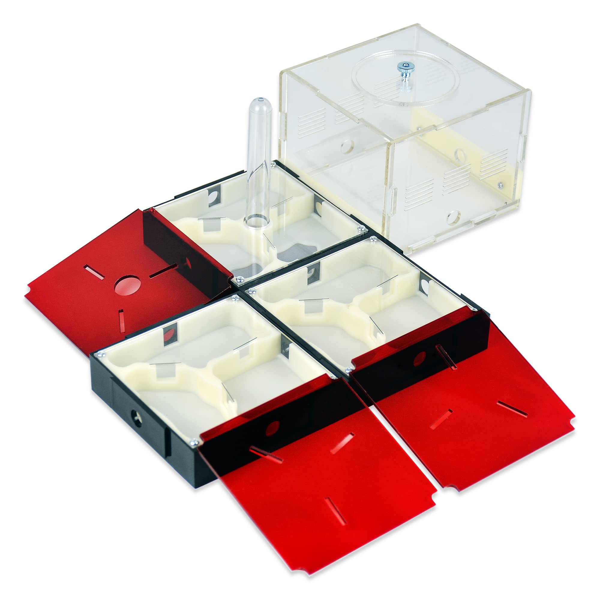 Buy PAEOUT Ant Farm Nest Kit for Kids and Adults (Old Size3), Build Ant