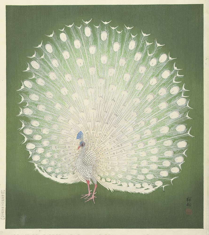Amazon.com: ArtDirect Peacock (1925-1936) 8x9 UnFramed Museum Art