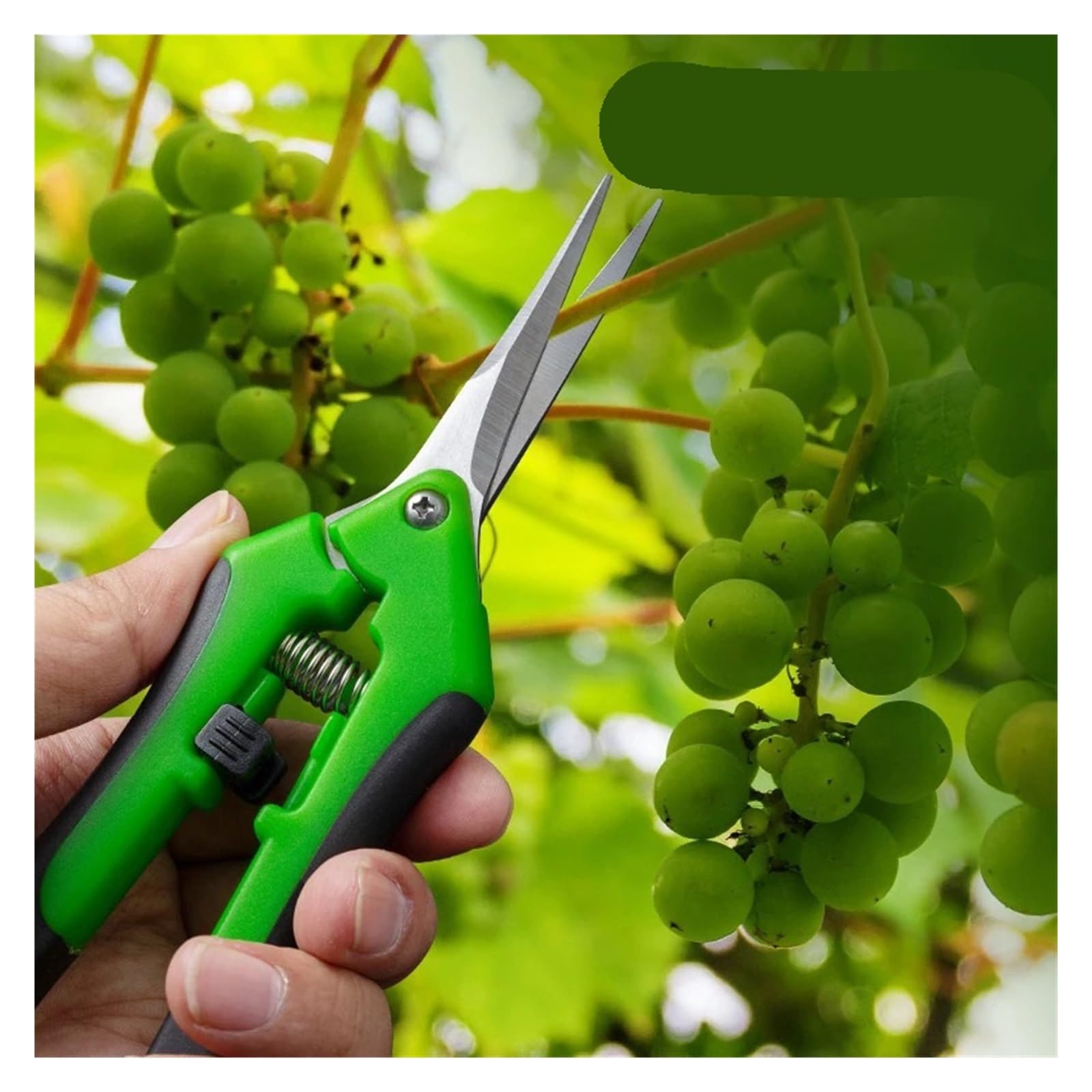 7-Zoll-Gartenschere – kompakte Gartenschere for Bonsai, Topfpflanzen, Obststängel und Unkrautentfernung