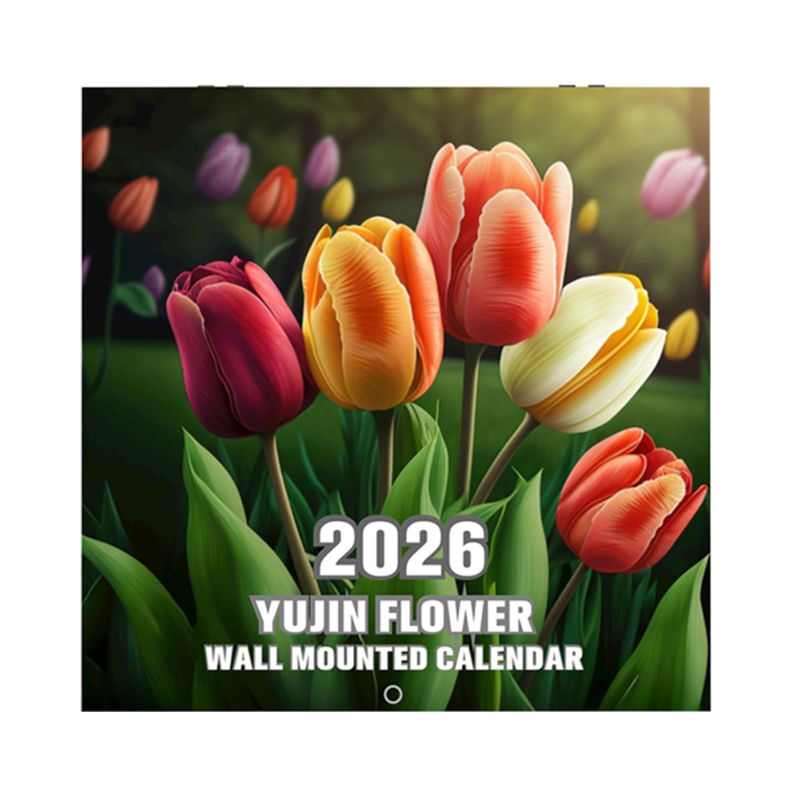 月間ウォールカレンダー - 壁掛けアートカレンダー - ユーモアのある紙のスケジュール帳 可愛い 子供・学生・教師・家庭・キッチン向け