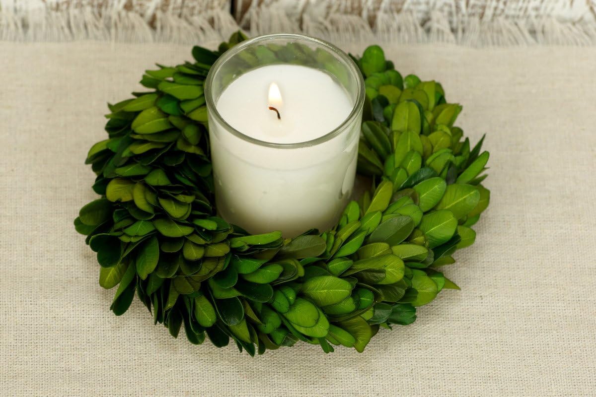 Preserved Boxwood Wreath - Image 5