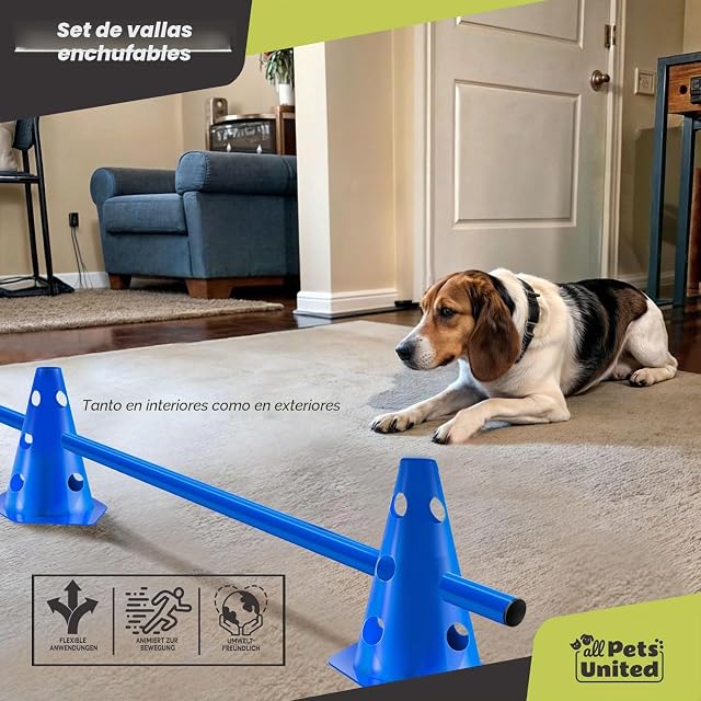Foto 3 de 7 de all Pets United® Conos de Agilidad para Perros, 4 Sets con Barras