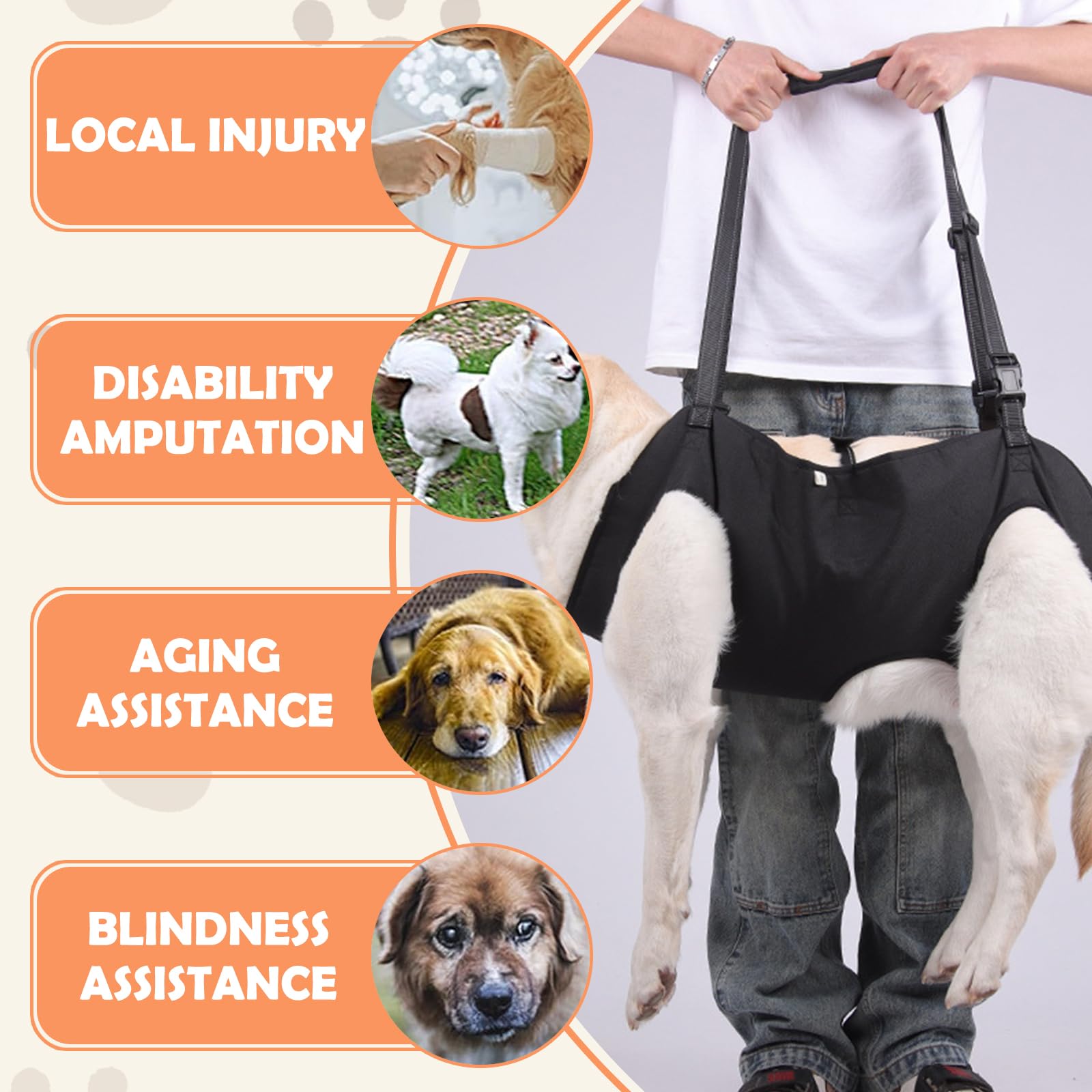 Hunde Tragehilfe, Tragehilfe Hund Treppe Verstellbare Gehhilfe für Hundes, Hundeliftgeschirr für Hinterbeine Hundegeschirr Heben mit Griffen für Gelenkverletzungen,Arthritis,Stabilitätsverlust hunde,M