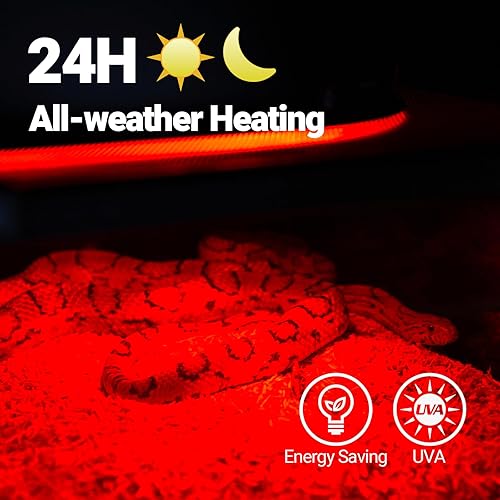 Miniatura 4 de REPTI ZOO Bombilla de calor infrarroja de 150 W para reptiles, paquete de 2 focos infrarrojos para reptiles y anfibios, dragón barbudo, tortuga de