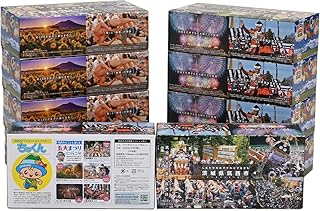 筑西市PR ボックスティッシュ 60箱 (5個入り × 12セット) 1箱200組 400枚 パルプ100% 非売品 ティッシュ ティッシュペーパー 日用品 消耗品 常備品 まとめ買い [EN001ci]