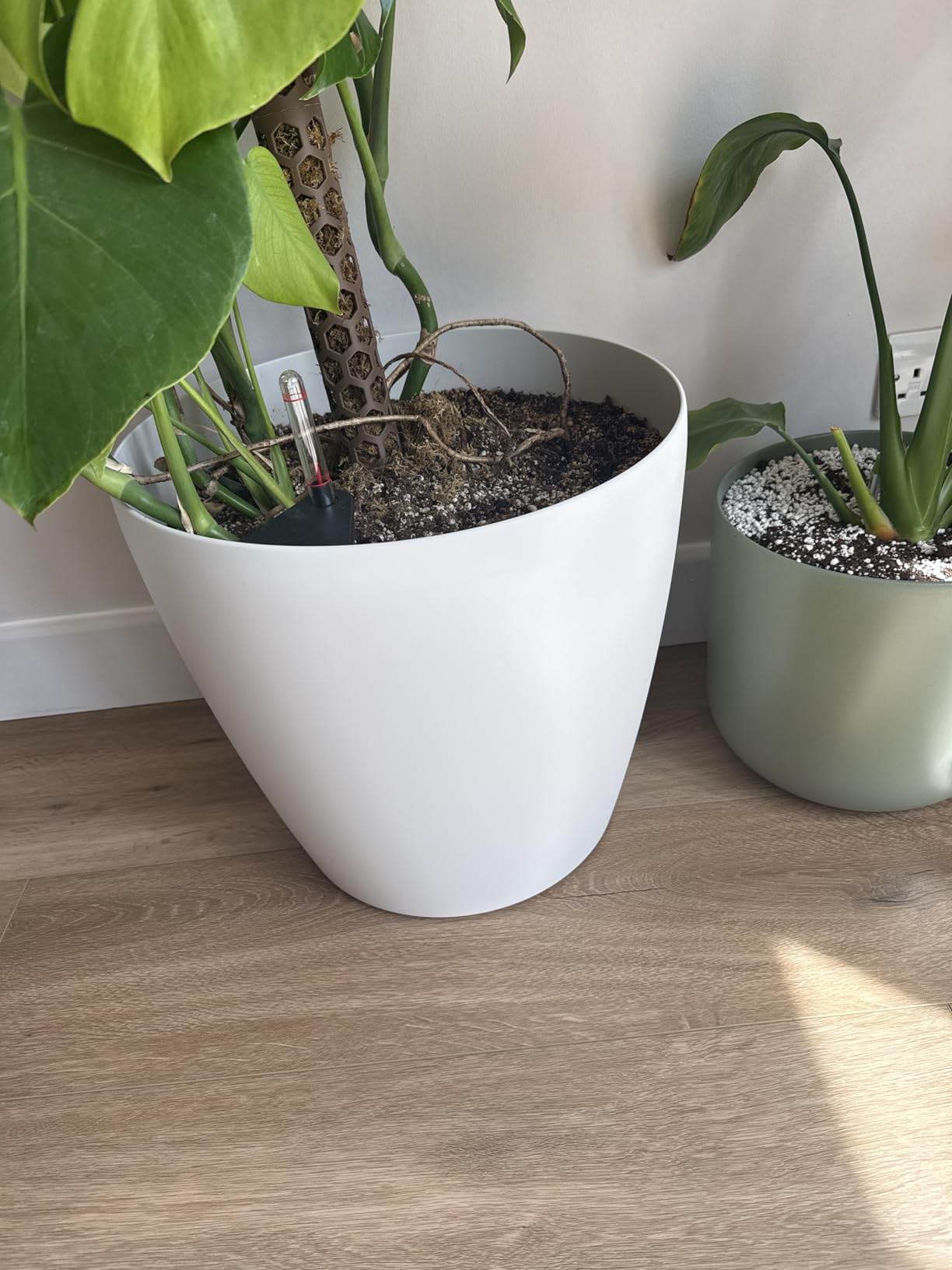 Customer photo