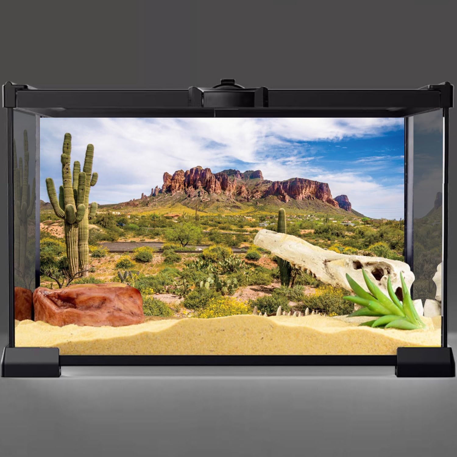 BNS Reptile Habitat, Terrarium Background, DEEP in The Jungle - Various Sizes (36