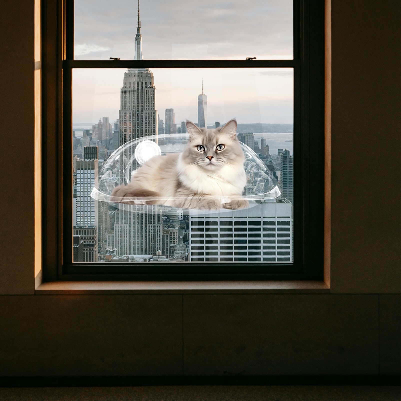 SUPVOX Cama con Percha para Ventana para Gatos Hamaca con Ventana para Gatos De Plástico Transparente Cama para Ahorrar Espacio para Gatitos Estante Montado En La Ventana con 2 Ventosas