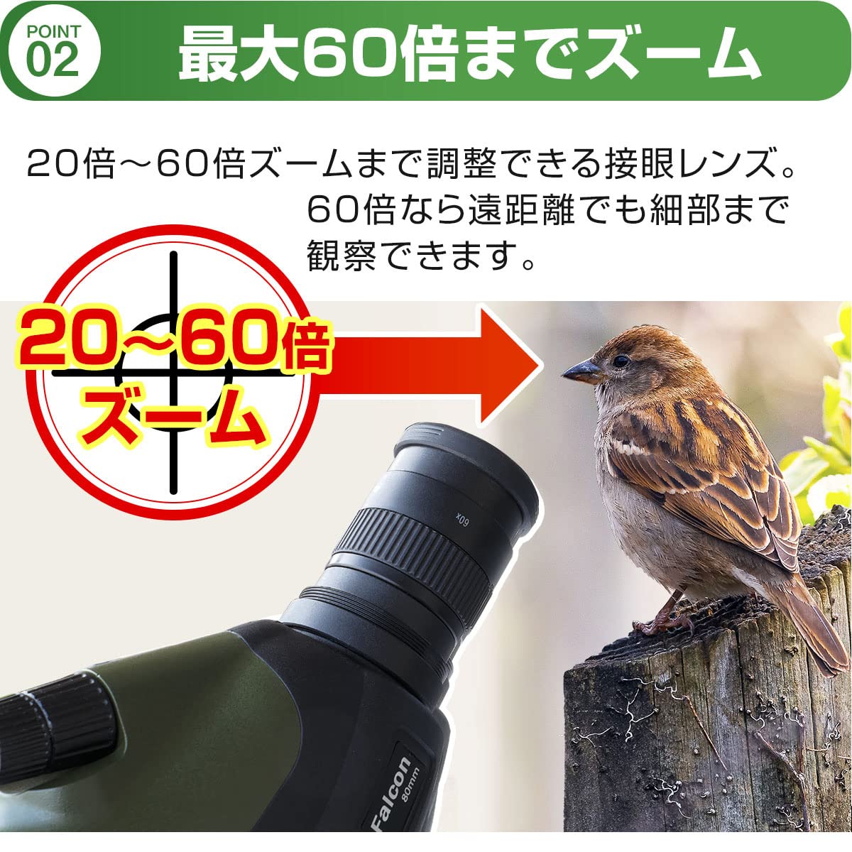 Amazon | 望遠鏡 最大900mまで望遠 80mm径 対物レンズ 20～60倍ズーム 