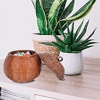 Vista 8 de Cabilock Cesta de mimbre para calabaza con tapa, organizador de almacenamiento de ratán redondo pequeño para el hogar, cocina, soporte para huevos