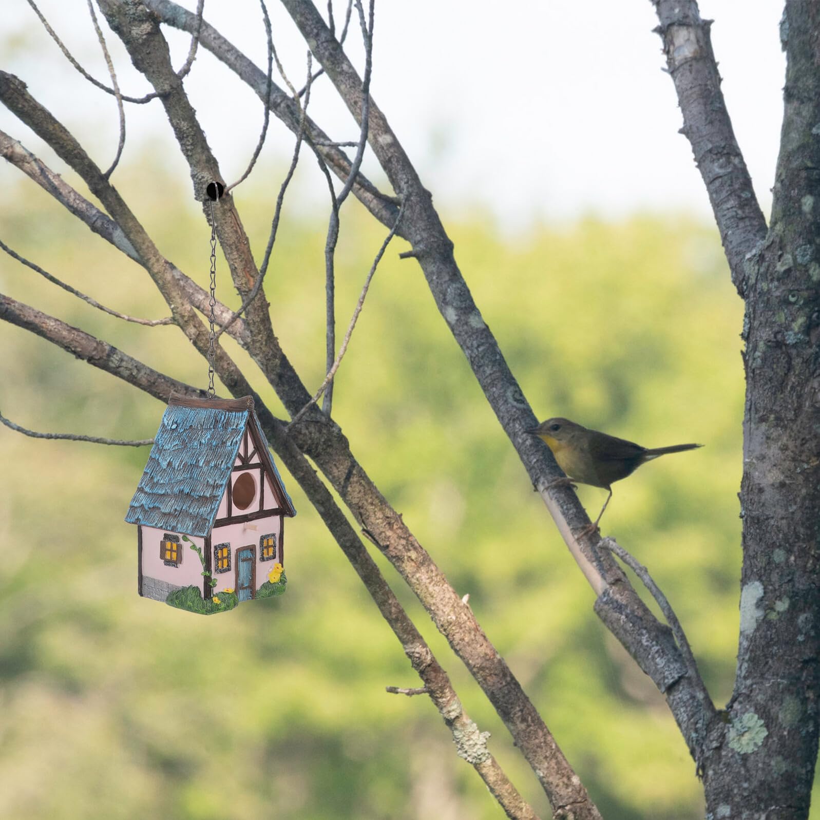FRCOLOR Wetterfestes Resin Vogelhäuschen zum Aufhängen für Garten und Balkon Dekoratives Farbenfrohes Nistkasten dekoobjekt Einfach Montierbar für Wildvögel und Außenbereiche