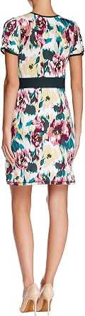 VertiGo Paris Women's Printed Short Sleeve Faux-Wrap Dress - Soft Focus - X-Large