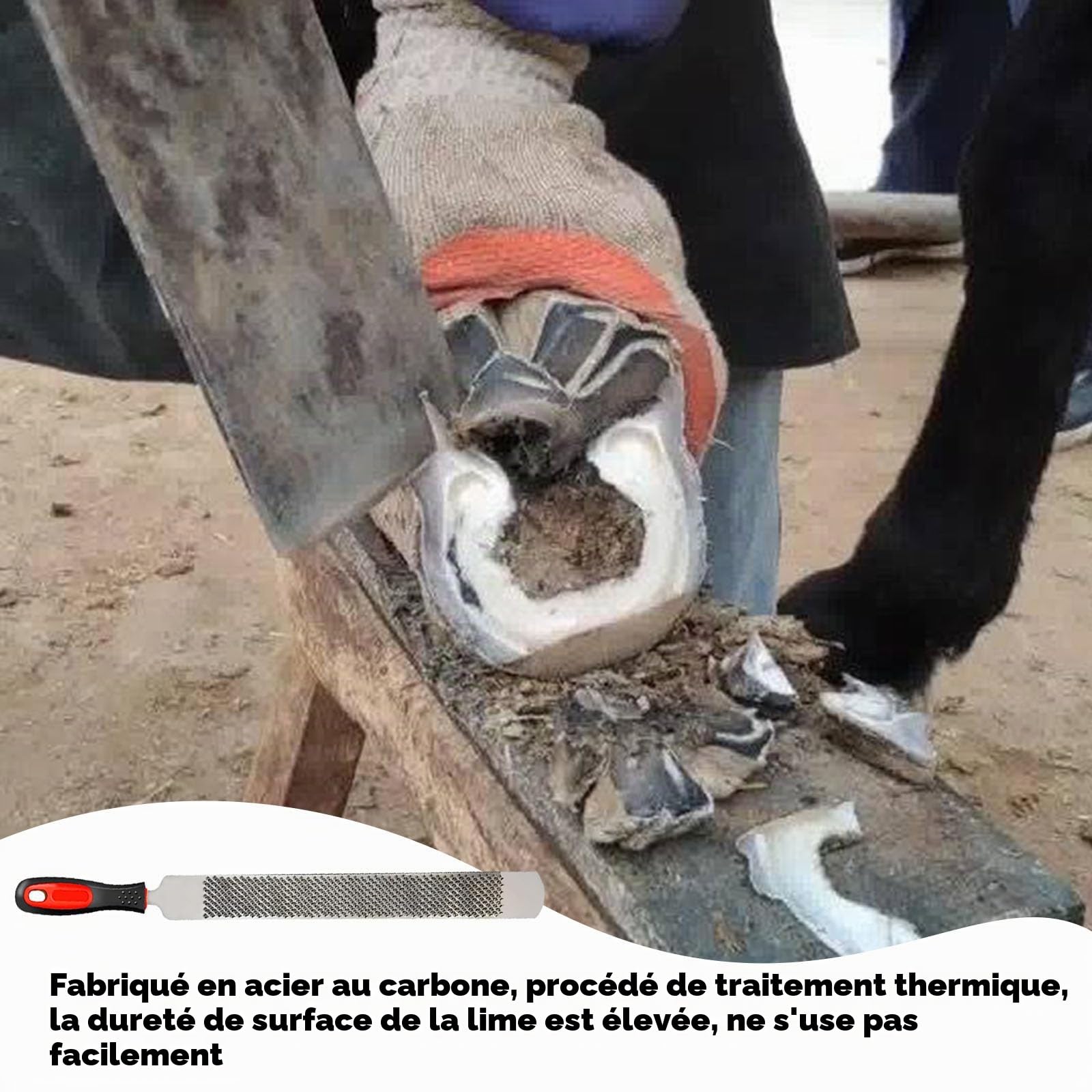 Lime à Sabots Cheval, Cheval Sabot Rape Couteau Lime, Lime à Sabot Double Face Pour Râpe à Carbone, Acier Au Carbone, Double Face, Avec Manche, Pour Réparer Les Fers à Cheval, Meuler Les Dents