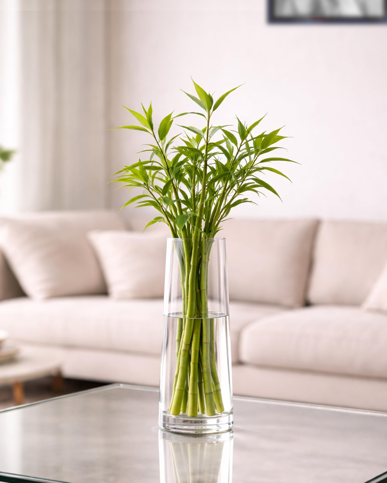 HOMESAKE Glass Vase for Plants Flowers (Transparent, 29 cm X 8 cm) - Living Room Glass Vase Pot for Water Plants Home Décor Dining Table Decoration Bedroom Hall House Warming Gift, Stem, (Small Vase)
