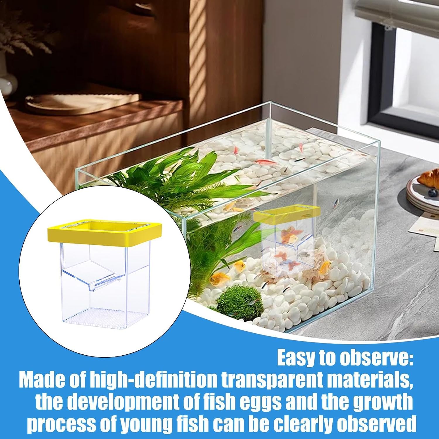 Fish Breeder Box, Floating Isolation Tank, Suction Cup Hatchery, Transparent Aquarium Incubator, 3.39 Inches Safe Breeding Container for Baby Shrimp and Guppy Fish