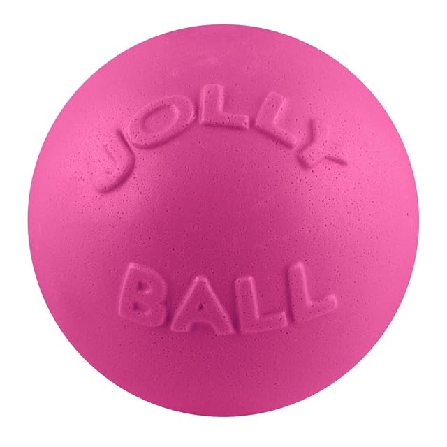 Foto 3 de 3 de Jolly Mascotas Juguetes Jolly Bounce-n-Play Perro Juguete