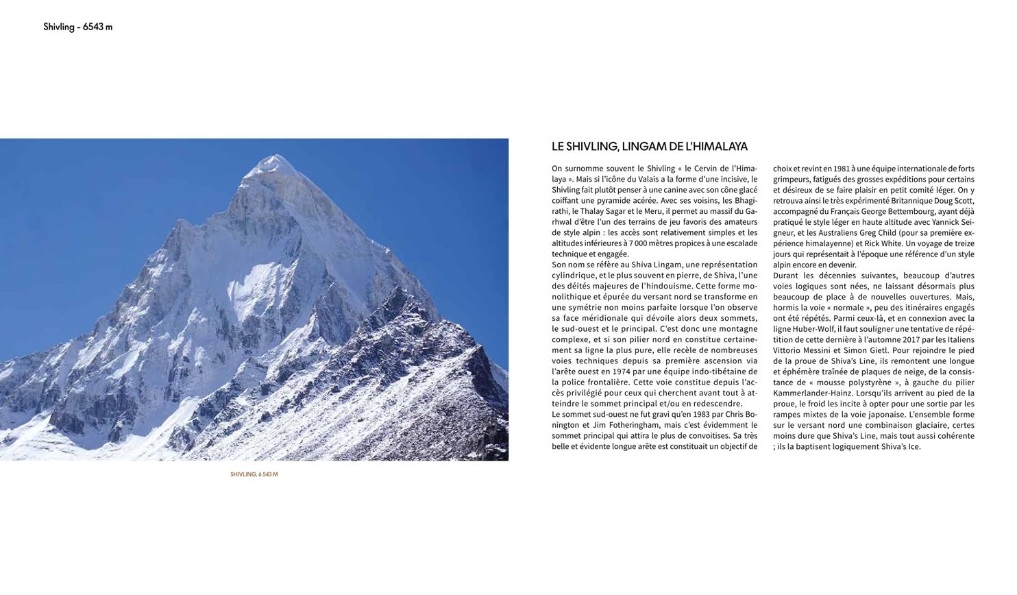 l'Alpinisme du XXIe siècle: Les plus beaux exploits, les plus grands héros