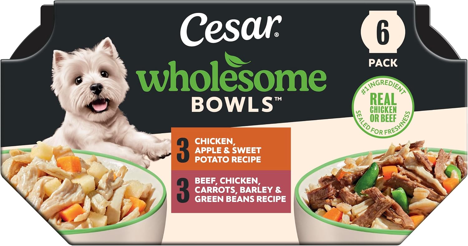 Cesar Wholesome Bowls Wet Dog Food, Beef and Chicken Variety, 3 oz, 6 Count