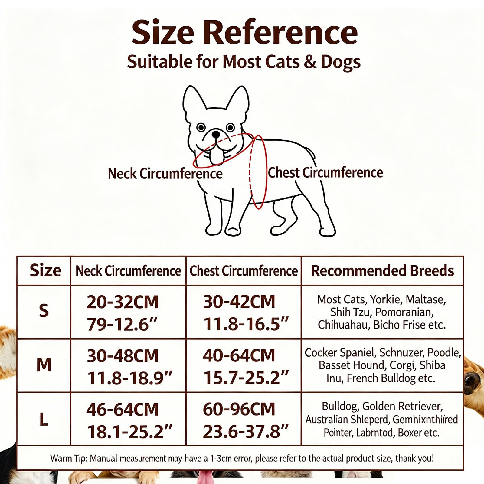 View 6