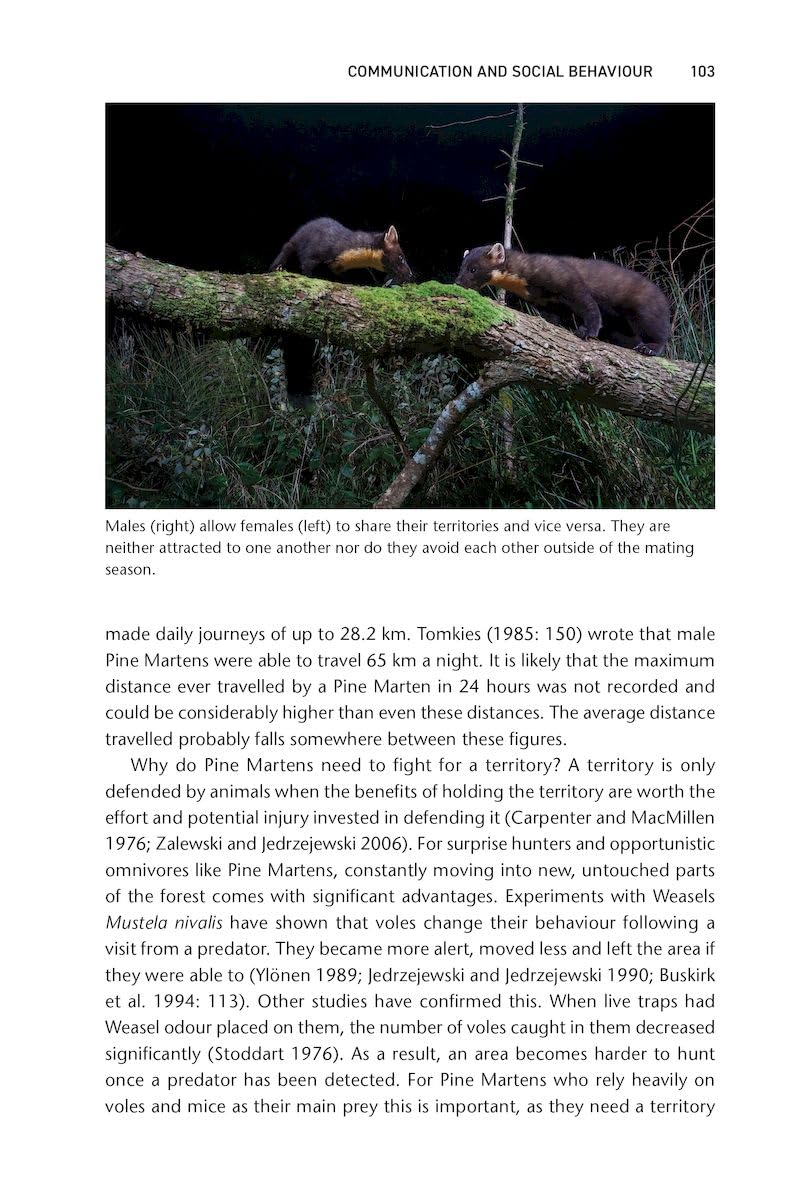 Pine Marten: The Secret Life of Martes martes (Pelagic Monographs)