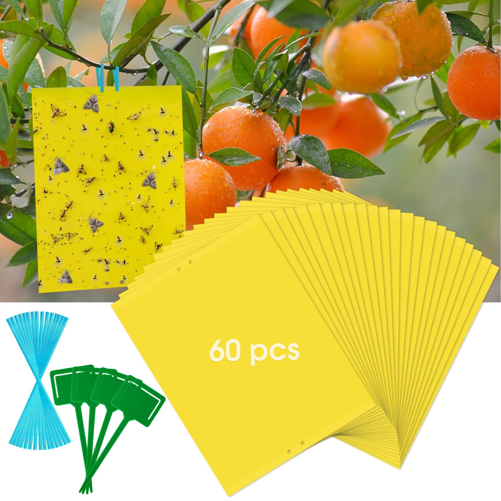 Dwcom 60 Pack Yellow Sticky Traps for Gnats Fruit Fly Traps for Indoors, Fungus Gnat Traps for House Indoor Fly Paper Indoor for Gnats Killer Indoor Trap