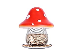Red Mushroom Solar Cactus Bird Feeder