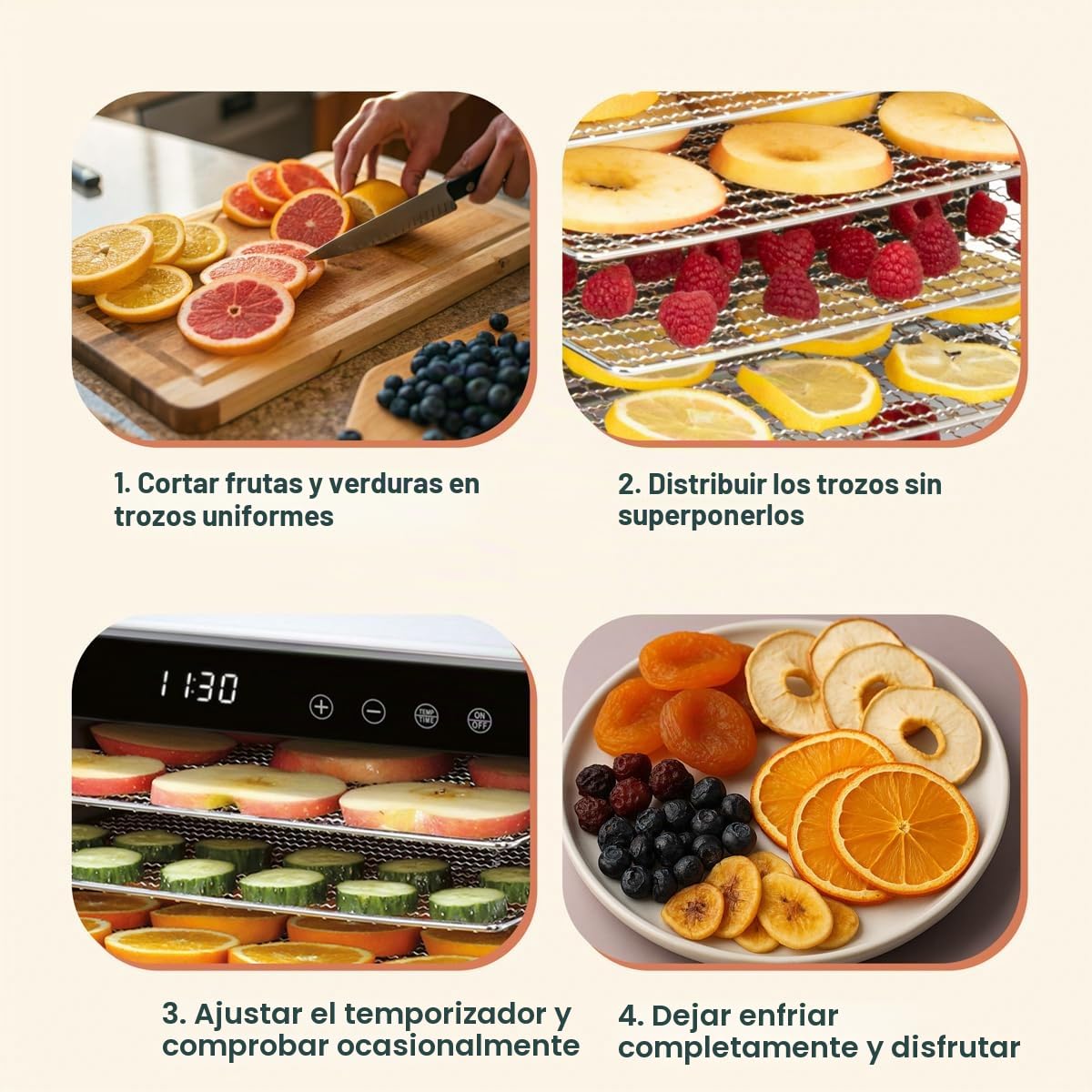 Proficook PC-DR1218 Deshidratador de Alimentos, 6 Bandejas Acero Inoxidable, Temperatura Ajustable 35-75°C, Temporizador 30 min - 24 h, Seca Frutas, Verduras, Carne, Hierbas