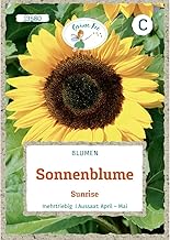 Grüne Fee - Sunflower Sunrise Seeds - 13580
