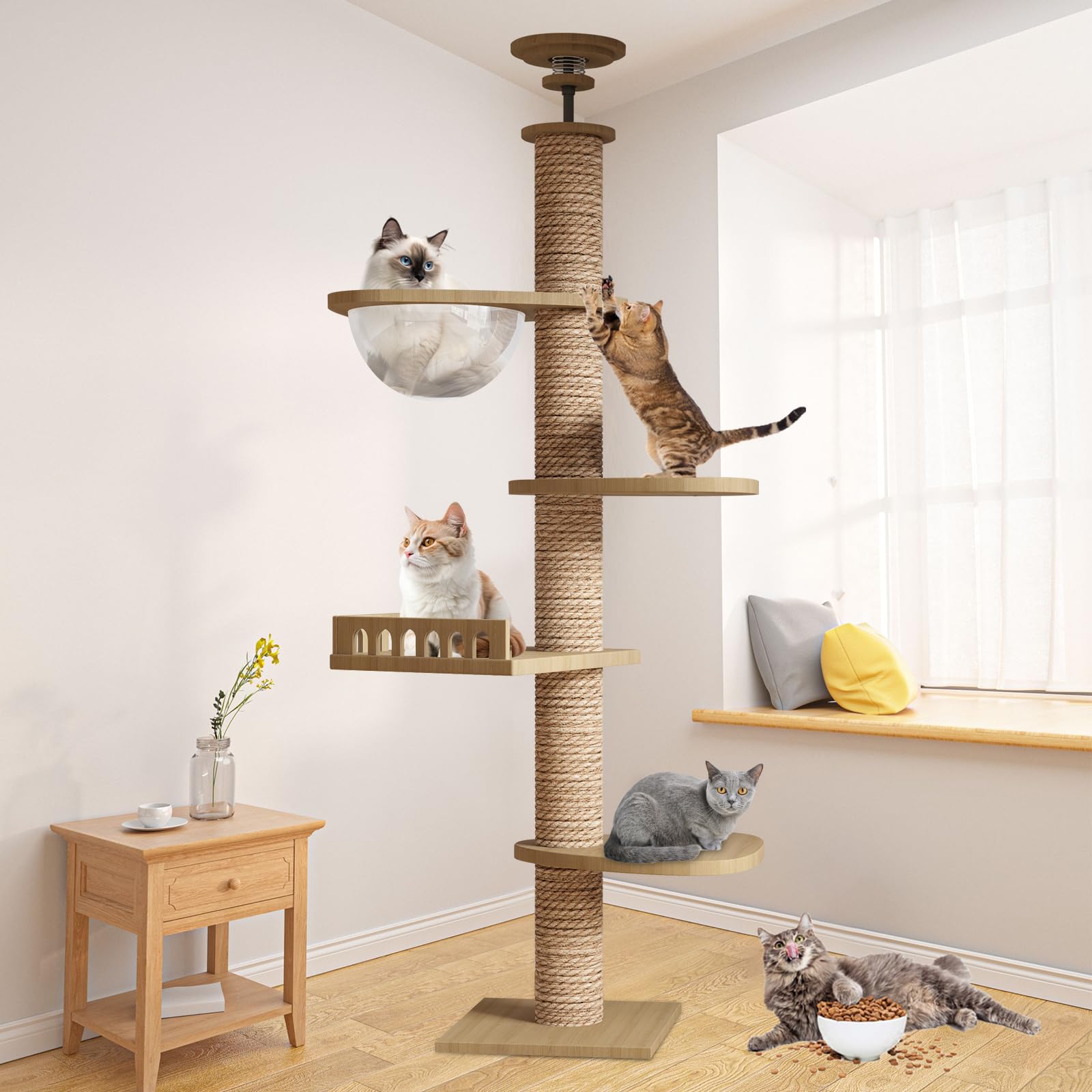 Amazon | CozyMeow キャットタワー 突っ張り 木登りタワー 木製