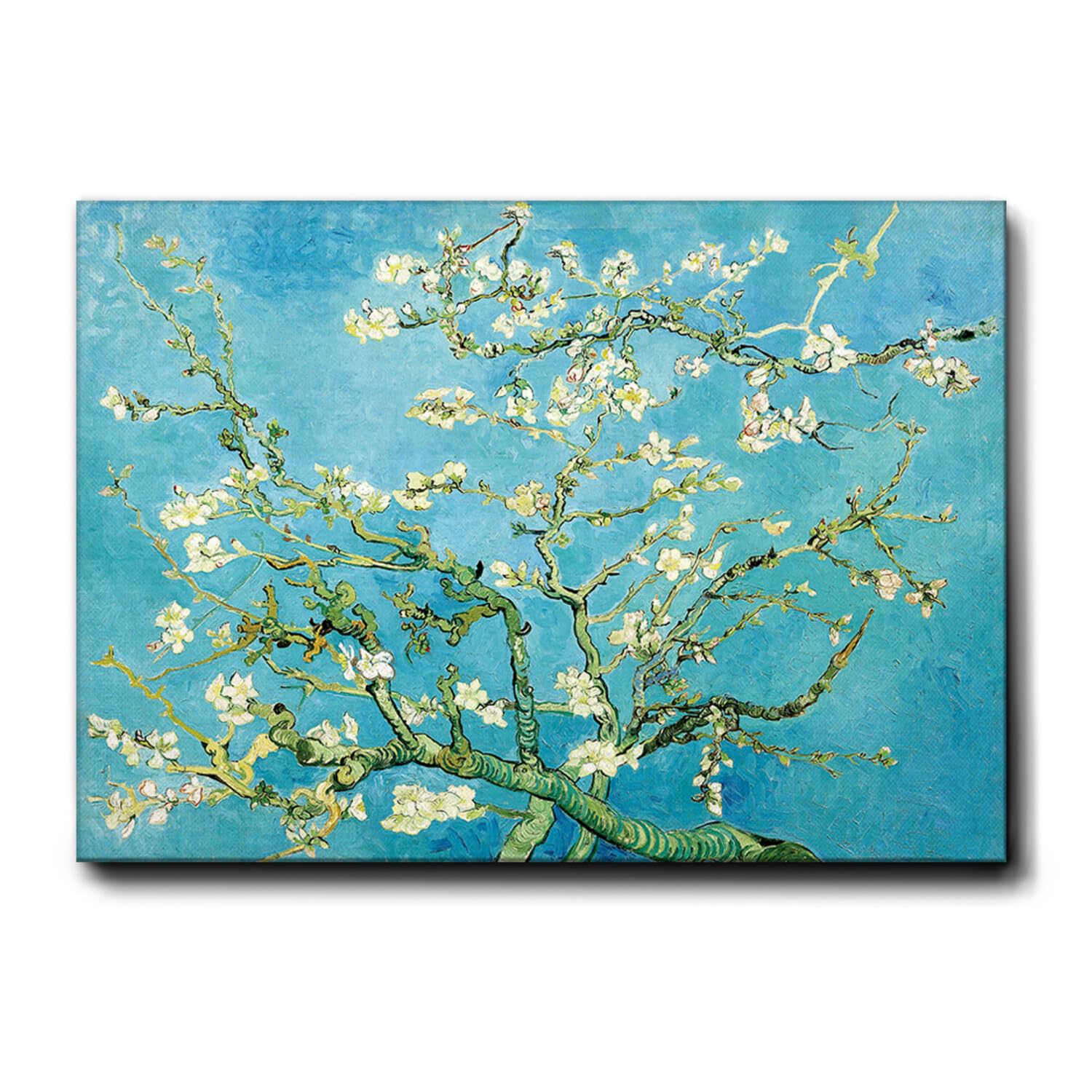 Giallobus - Quadro - Vincent Van Gogh - Fiori di mandorlo - Tela Canvas Telaio Premium Alto Spessore - 140L x 100l cm - Pronto da appendere - Quadri moderni per la casa