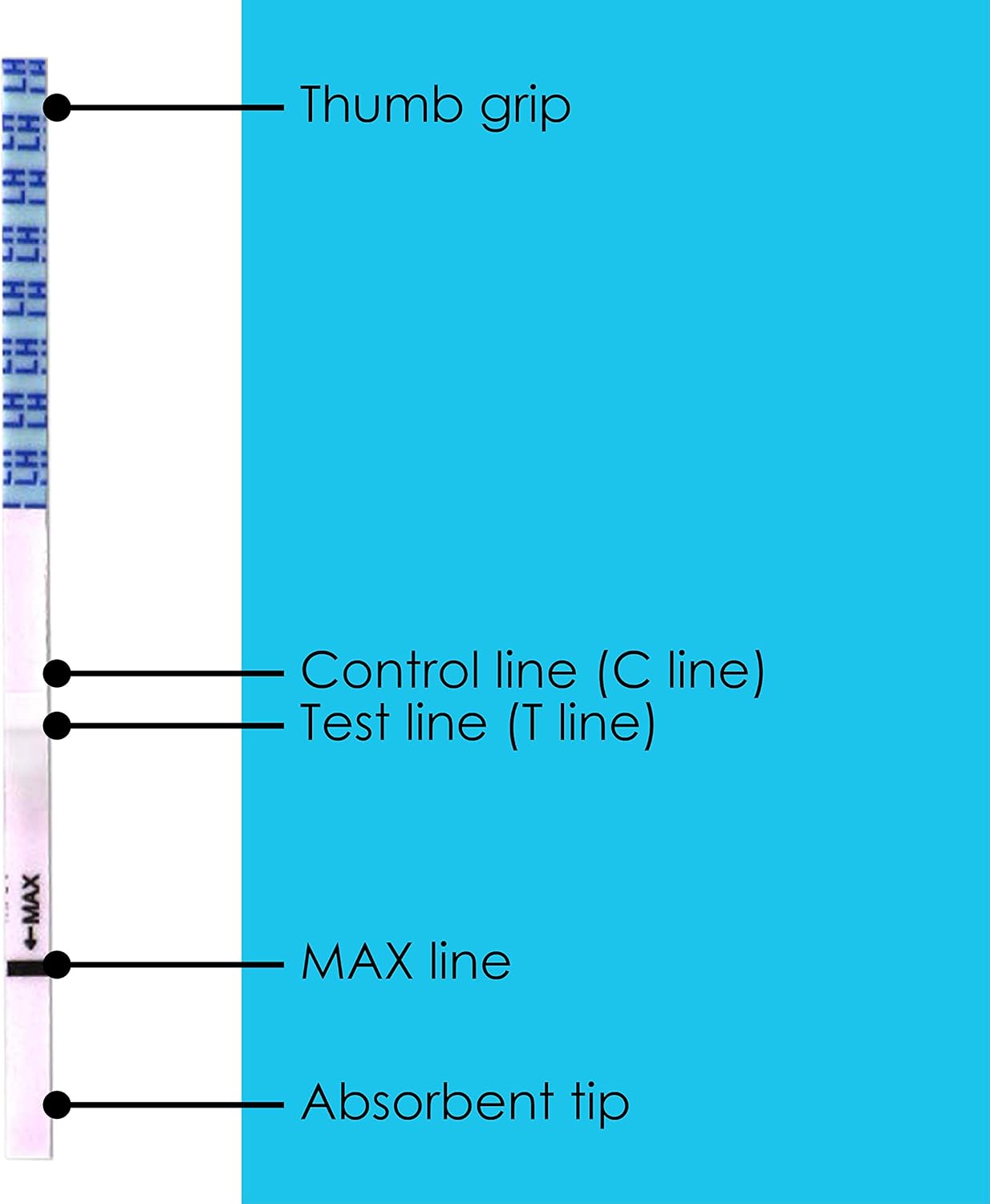 Preview Ovulation (LH) Rapid Test Detection for Home Self-Checking Urine Test - 50-Count : Health & Household