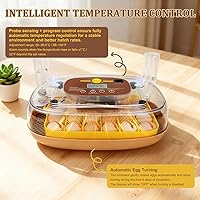 Vista 6 de Gen III - Incubadora automática de 24 huevos, humedad adaptativa basada en etapas con recarga automática, control de temperatura estable, espaciado