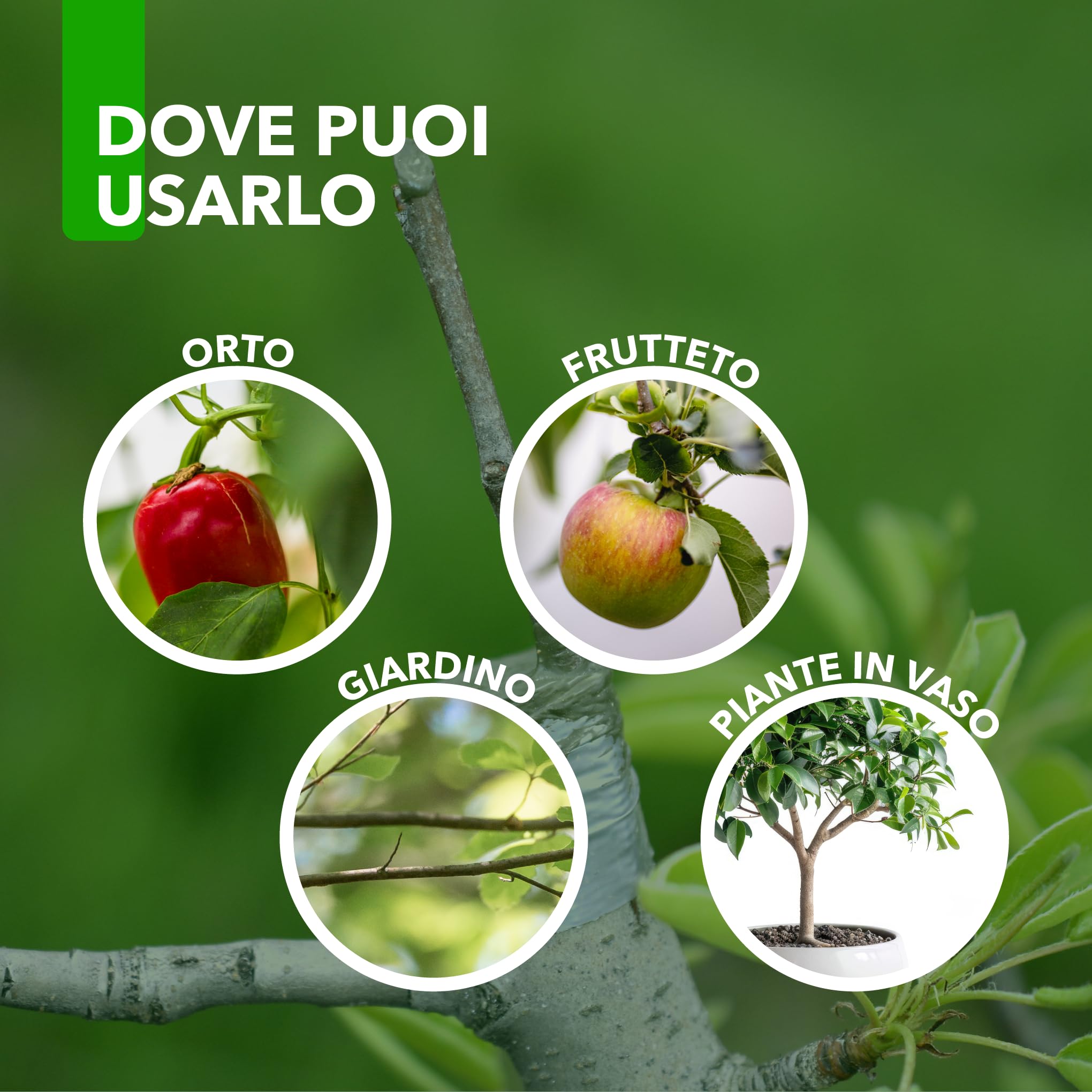Masilla para injertos y podas - Con cobre - Pasta cicatrizante antibacteriana curativa para heridas de plantas, árboles y arbustos de 1 Kg