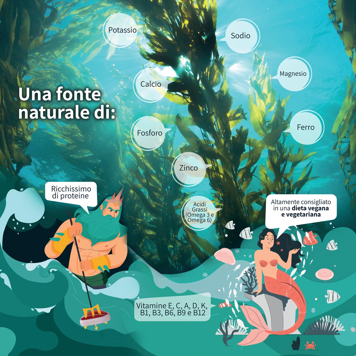 Detox Organica - Spirulina in polvere BIO 250g - Ricca di Ficocianina, Ferro, Vitamine, Minerali, Proteine - Alga Spirulina Pura | Prodotta in Germania (Compresse)