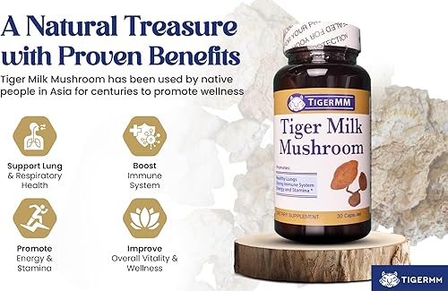 Miniatura 2 de Hongo de leche de tigre (Lignosus rhinocerus), suplemento de apoyo pulmonar