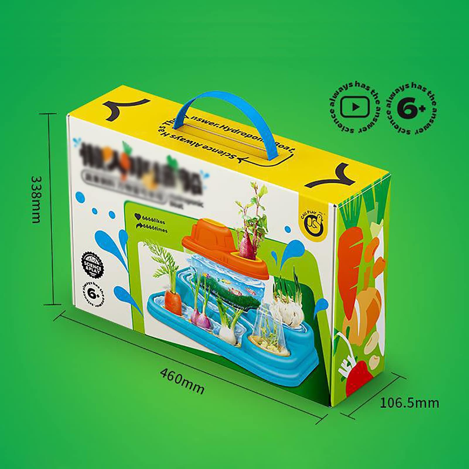 Amazon｜子供用水耕ボート、水耕生態サイクル、野菜の栽培と魚の飼育 