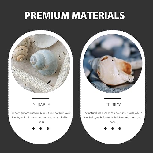 Miniatura 4 de Happyyami 10 piezas de caracol francés conchas de caracol, conchas de caracol, decoración francesa, comida de cangrejo ermitaño, conchas grandes